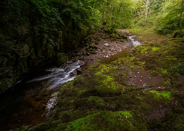 The Afon Pyrddin valley