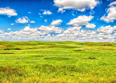 Theodore Roosevelt Park