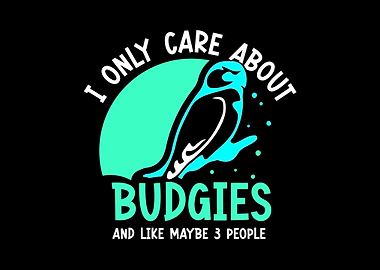 Budgie Budgeriga