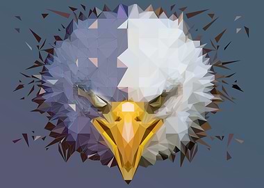 Low Poly Eagle