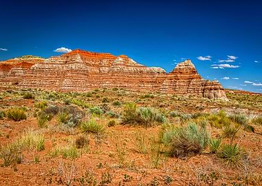Toadstool Trail in Utah