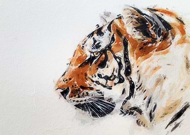 Tiger Watercolor