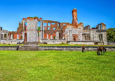 Cumberland Island