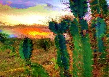 Cactos color