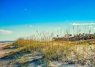 Amelia Island Dunes