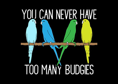 Budgie Budgeriga