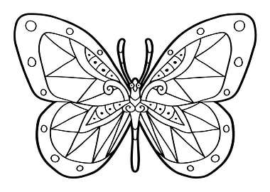 Aztec Butterfly Mayan Inca