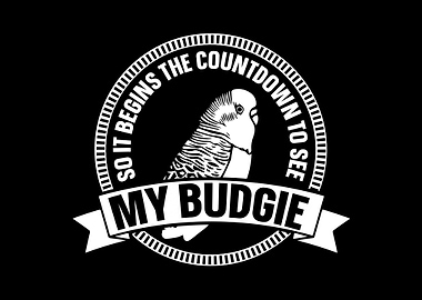 Budgie Budgeriga