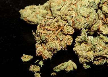 Weed smokig buds close up