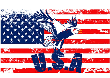 Patriotic USA Eagle