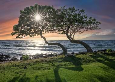 Maui Sunset