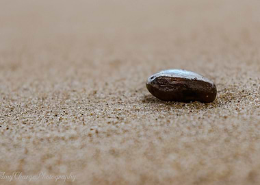 Lowestoft Beach Pebble