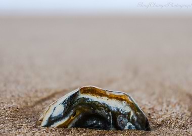 Lowestoft Beach Rock