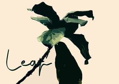 Leaf