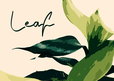 Leaf