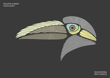 Yellow Eared Toucanet