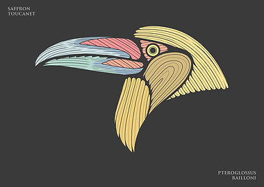 Saffron Toucanet