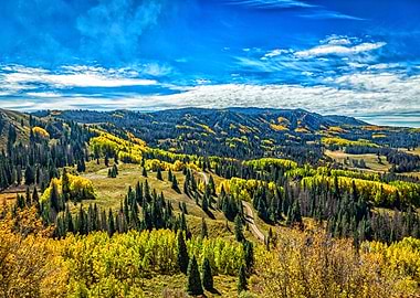 Cumbres and Toltec Train