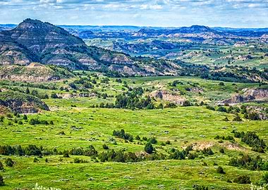 Theodore Roosevelt Park