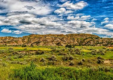 Theodore Roosevelt Park