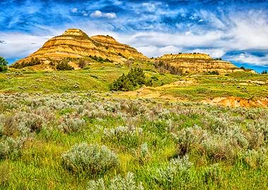 Theodore Roosevelt Park