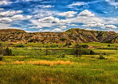 Theodore Roosevelt Park