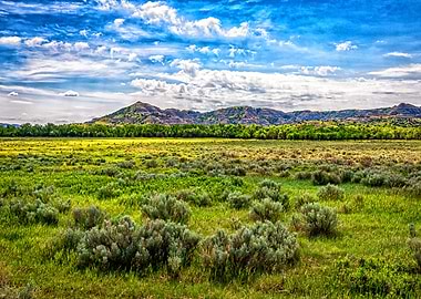 Theodore Roosevelt Park