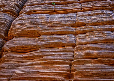 Lick Wash Trail Hike