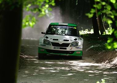 Skoda Fabia Rally Forest