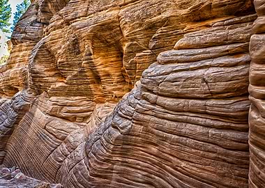 Lick Wash Trail Hike