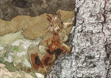 Red Squirrel in Scotland