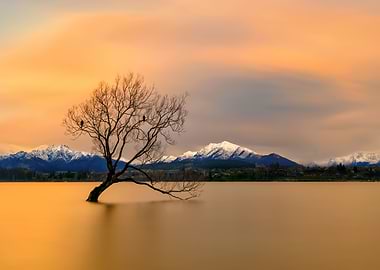 Lake Wanaka morning glow