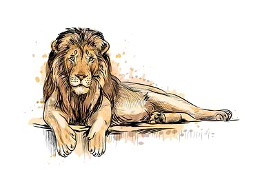 Portrait of a lion
