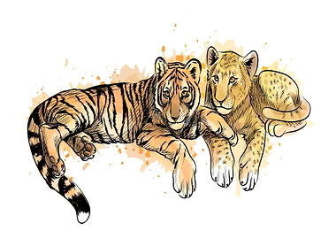 Lion cub and tiger cub