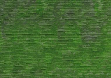 Abstract Floral Green Wood