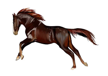Horse running
