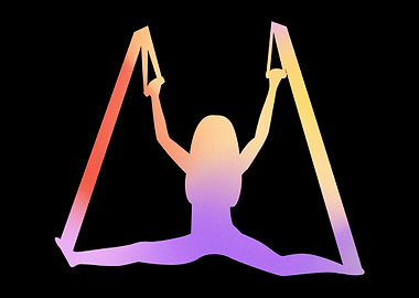 Aerial Artist Acrobat