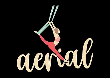 Aerial Yoga Acrobat