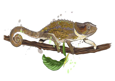 Chameleon watercolor