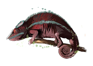 Chameleon watercolor