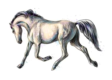 Horse run watercolor