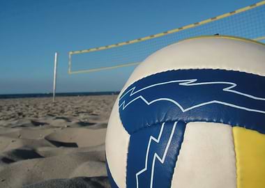 Volleyball Sports