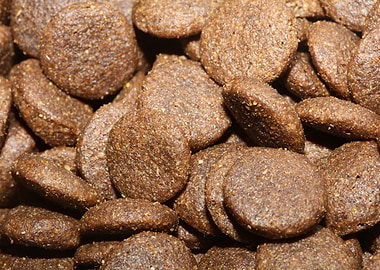 Dog dry crocketts close up