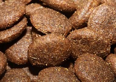 Dogs dry food background