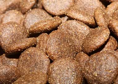 Happy dog dry crocketts