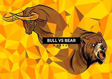 Bull vs Bear