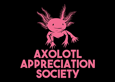 Axolotl Salamander