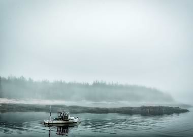 Foggy Morning on Schoodic