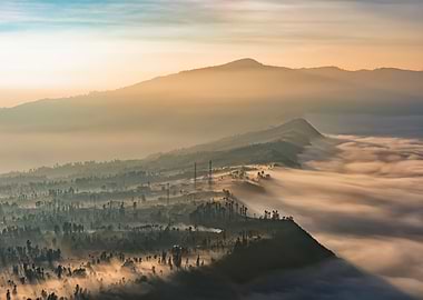 Early Morning In Java