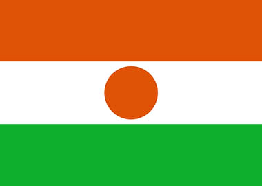 Niger Flag